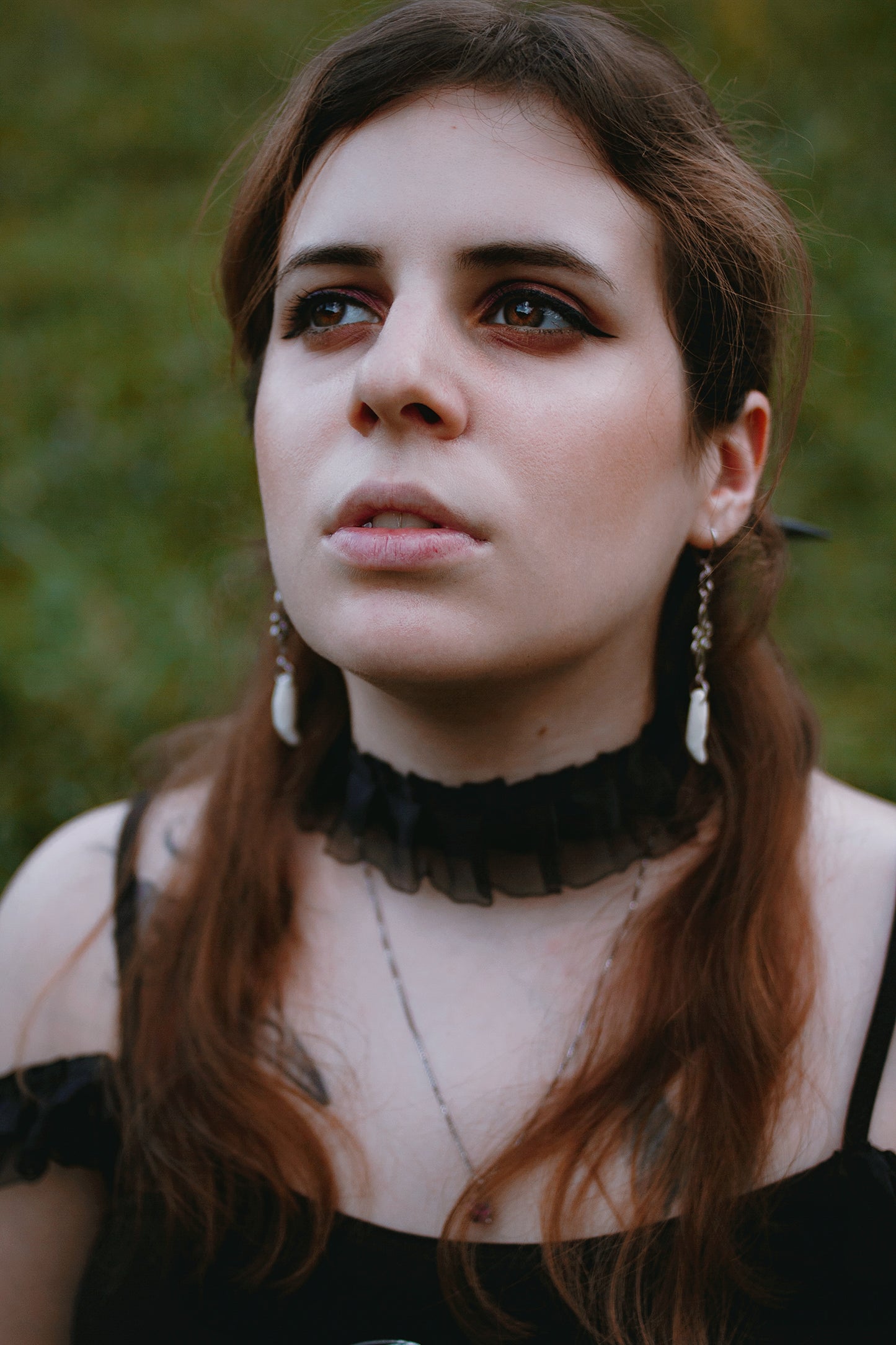 Earrings with real prairie Wolf teeth