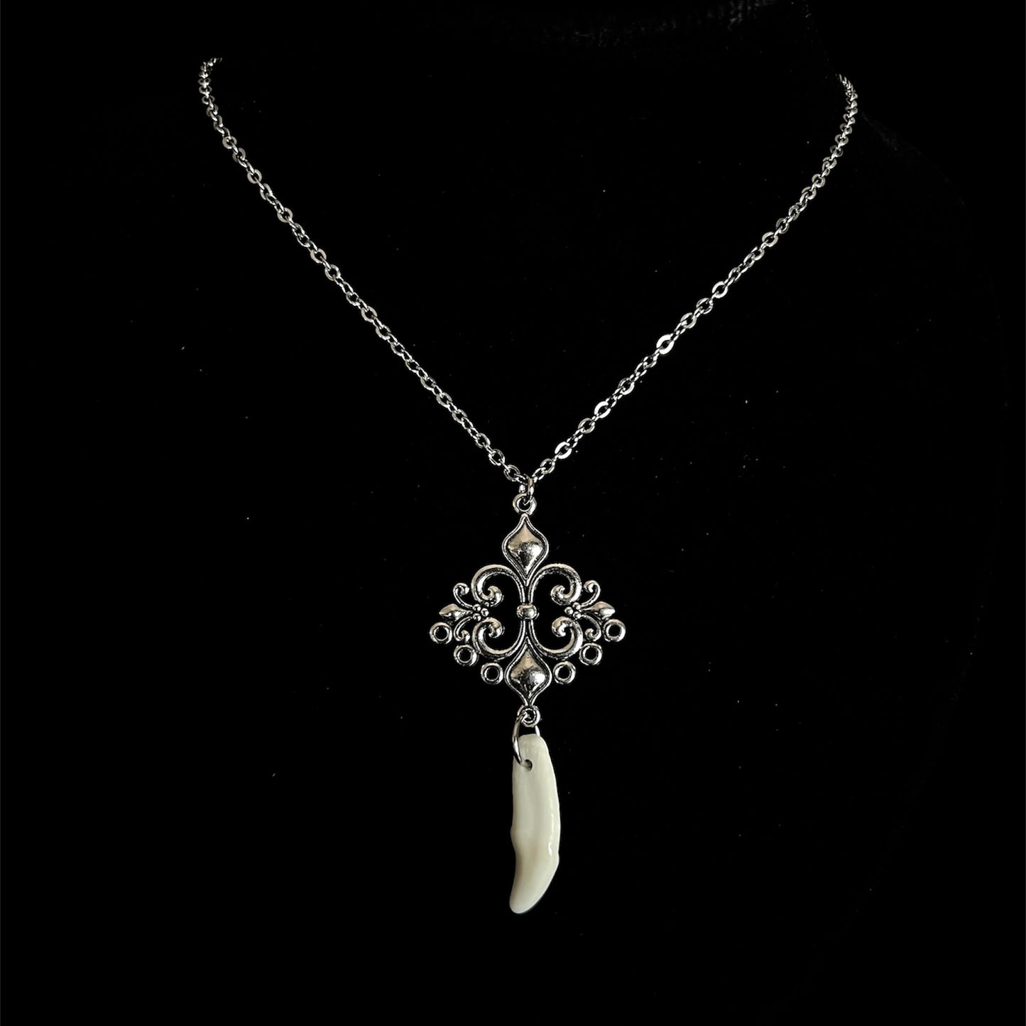 Necklace with real prairie Wolf teeth