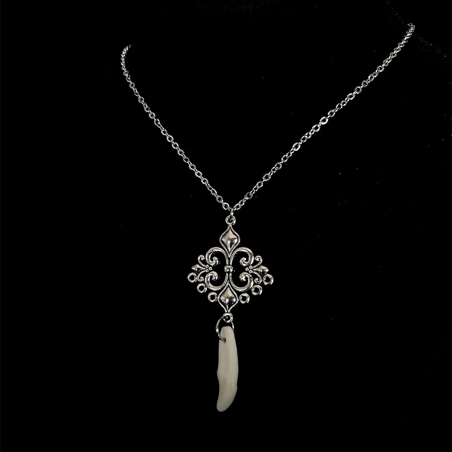 Necklace with real prairie Wolf teeth