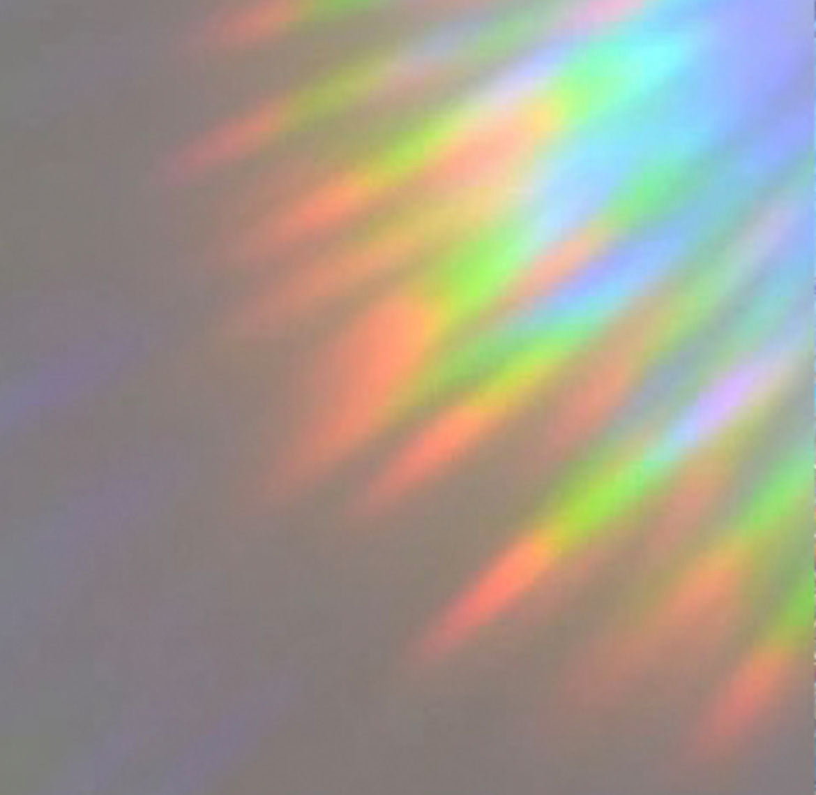 Pumpkins sun catcher - magic rainbow window prism sticker